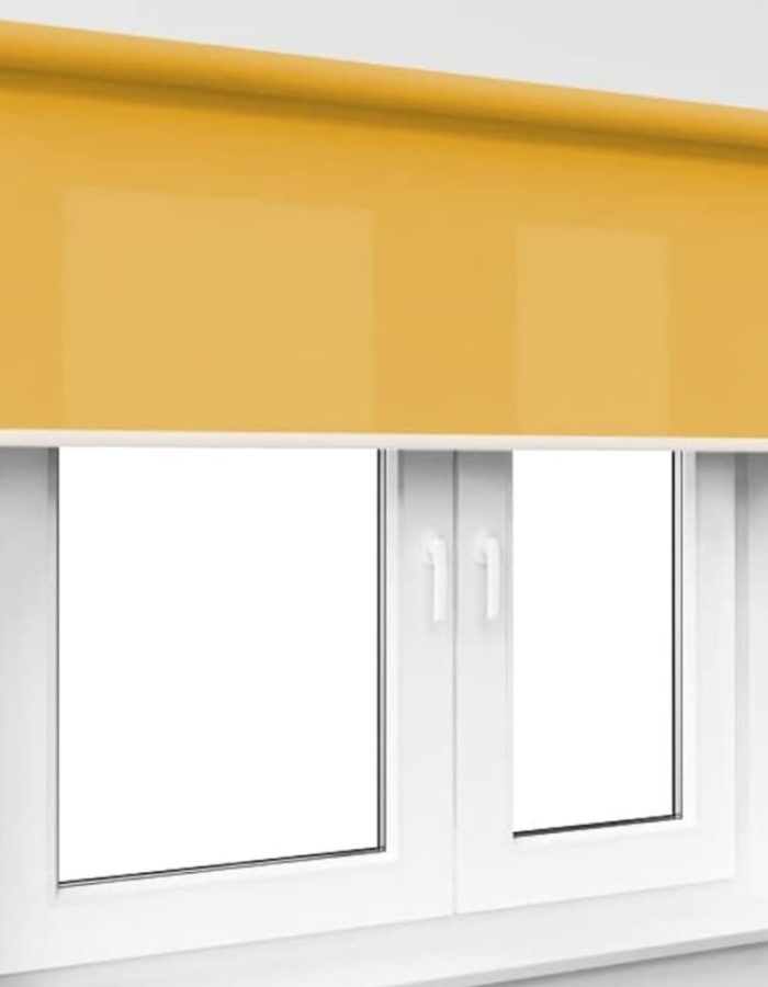 WhatsApp Image 2025-12-26 at 4.16.11 AM