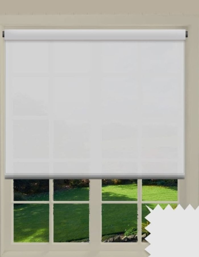 WhatsApp Image 2025-12-26 at 4.16.12 AM